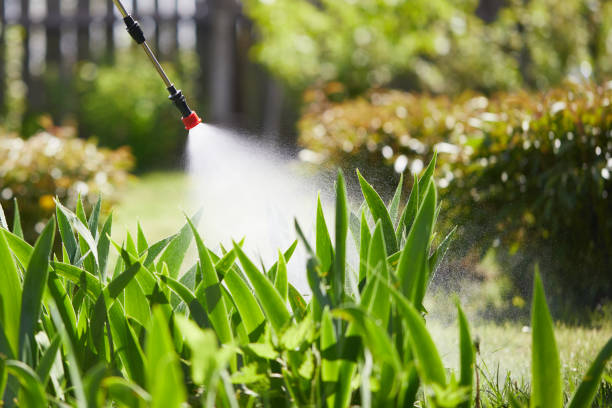 24/7 Emergency Ant Control experts in Gothenburg, NE