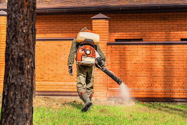 Trusted Ant Control service in Gothenburg, NE - Nex Pest Control